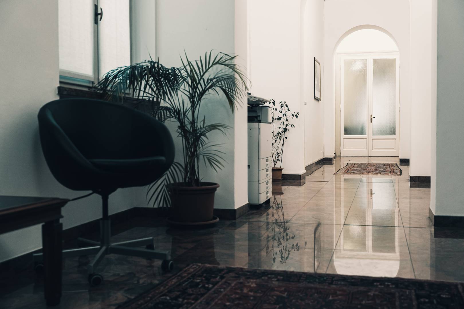 Le principali aree di competenza in ambito penale: